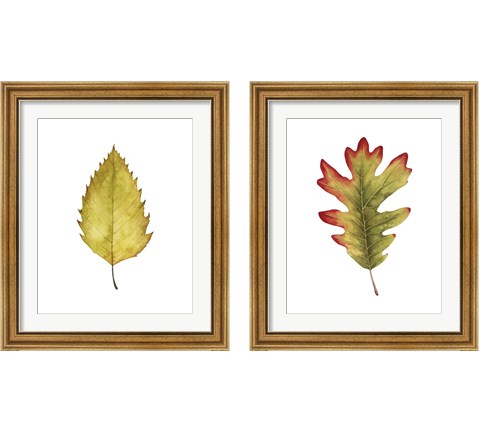 Fall Leaf Study 2 Piece Framed Art Print Set by Grace Popp