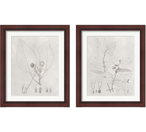 Vintage Leaves 2 Piece Framed Art Print Set by Vision Studio