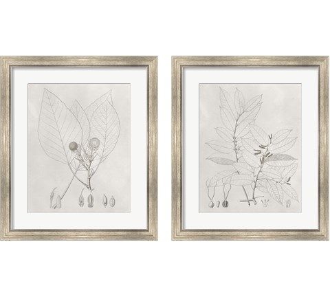 Vintage Leaves 2 Piece Framed Art Print Set by Vision Studio