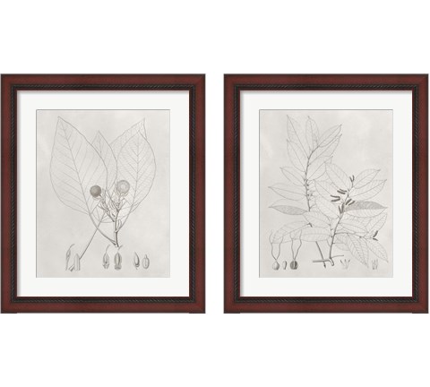 Vintage Leaves 2 Piece Framed Art Print Set by Vision Studio