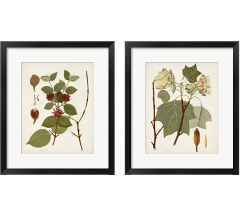 Antique Leaves 2 Piece Framed Art Print Set