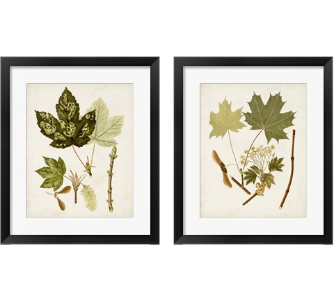 Antique Leaves 2 Piece Framed Art Print Set