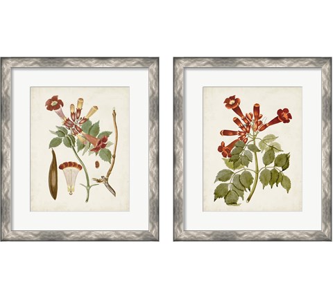 Vintage Flowering Trees 2 Piece Framed Art Print Set