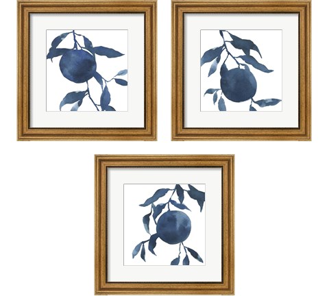 Indigo Oranges 3 Piece Framed Art Print Set by Emma Caroline