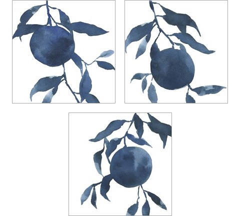 Indigo Oranges 3 Piece Art Print Set by Emma Caroline