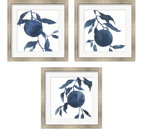 Indigo Oranges 3 Piece Framed Art Print Set by Emma Caroline