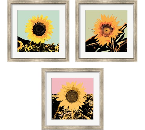 Pop Art Sunflower 3 Piece Framed Art Print Set by Jacob Green