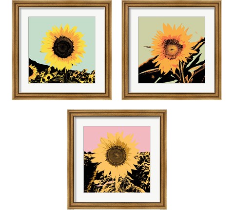 Pop Art Sunflower 3 Piece Framed Art Print Set by Jacob Green