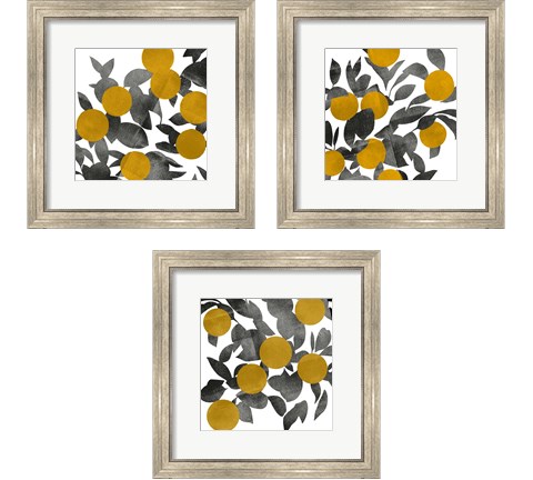 Shadow Branch 3 Piece Framed Art Print Set by Emma Scarvey