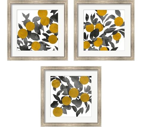 Shadow Branch 3 Piece Framed Art Print Set by Emma Scarvey