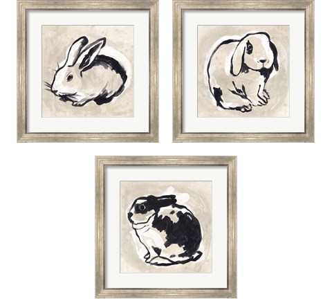 Antique Rabbit 3 Piece Framed Art Print Set by June Erica Vess