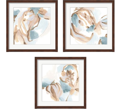 Abstracted Shells 3 Piece Framed Art Print Set by June Erica Vess