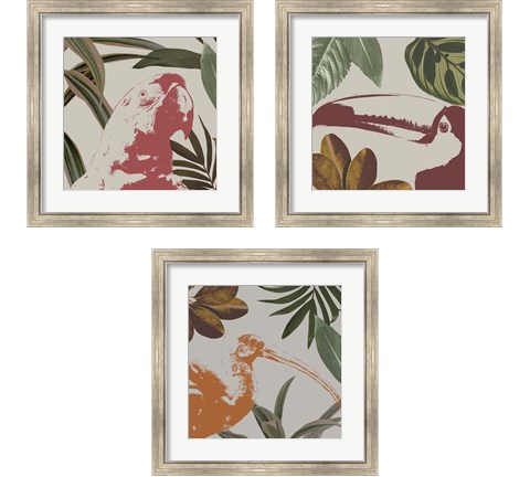 Graphic Tropical Bird  3 Piece Framed Art Print Set by Annie Warren