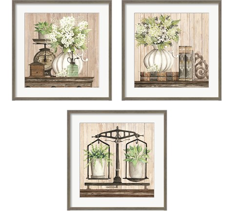 Farmhouse Finds 3 Piece Framed Art Print Set by Cindy Jacobs