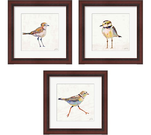 Coastal Plover Linen 3 Piece Framed Art Print Set by Jeanette Vertentes