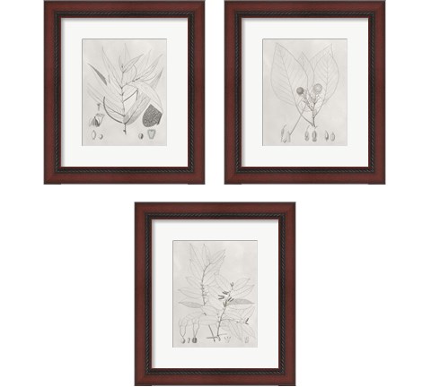 Vintage Leaves 3 Piece Framed Art Print Set by Vision Studio