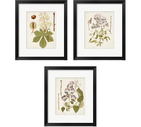 Vintage Flowering Trees 3 Piece Framed Art Print Set