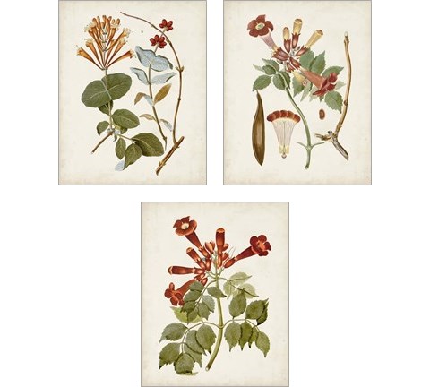 Vintage Flowering Trees 3 Piece Art Print Set