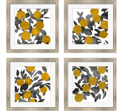 Shadow Branch 4 Piece Framed Art Print Set by Emma Scarvey