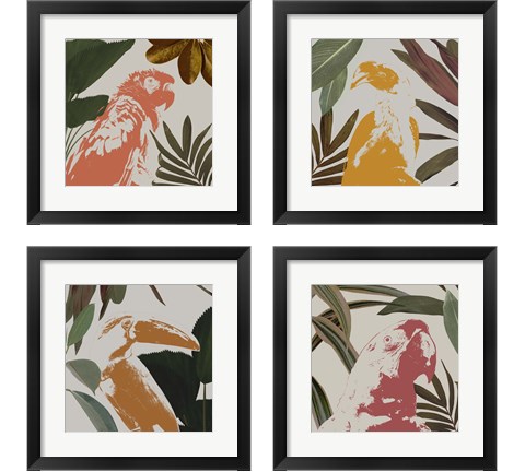 Graphic Tropical Bird  4 Piece Framed Art Print Set by Annie Warren