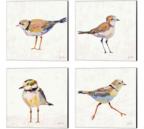 Coastal Plover Linen 4 Piece Canvas Print Set by Jeanette Vertentes