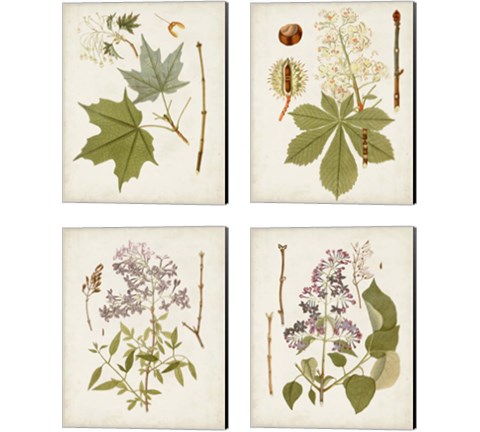 Vintage Flowering Trees 4 Piece Canvas Print Set