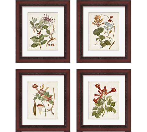 Vintage Flowering Trees 4 Piece Framed Art Print Set