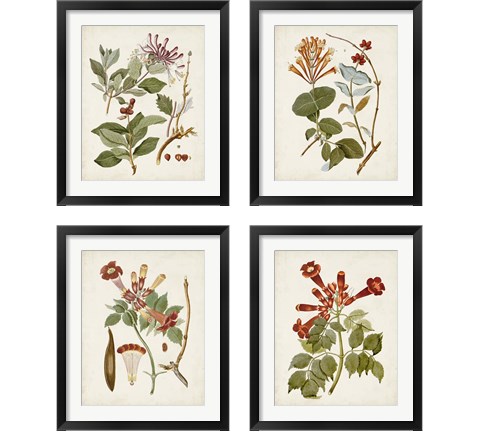 Vintage Flowering Trees 4 Piece Framed Art Print Set