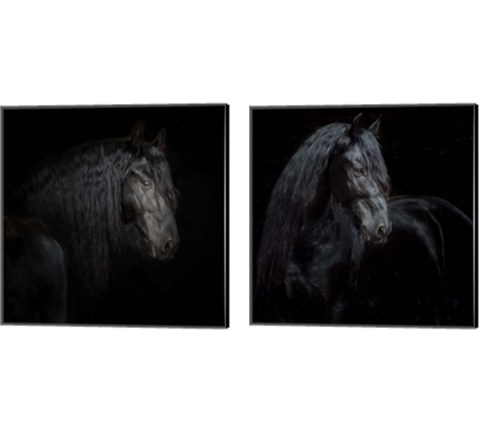 Equine Portrait 2 Piece Canvas Print Set by PHBurchett