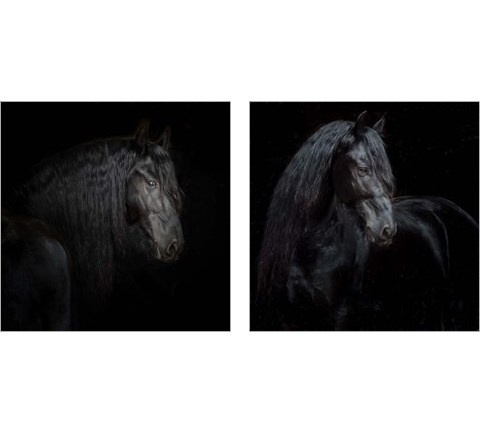 Equine Portrait 2 Piece Art Print Set by PHBurchett