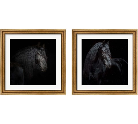 Equine Portrait 2 Piece Framed Art Print Set by PHBurchett