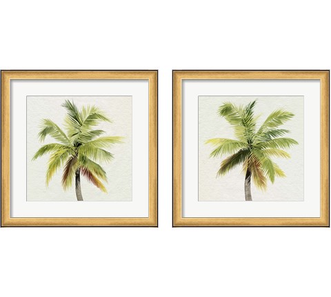 Coco Watercolor Palm 2 Piece Framed Art Print Set by Grace Popp