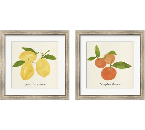 Citrus Trattare 2 Piece Framed Art Print Set by Annie Warren