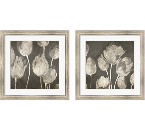 Washed Tulips 2 Piece Framed Art Print Set by Luca Villa