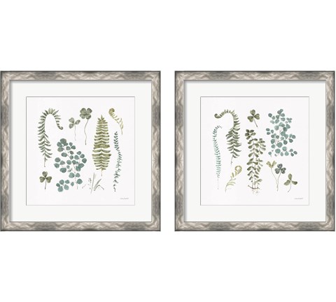 Fern Study  2 Piece Framed Art Print Set by Lisa Audit