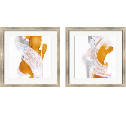 Amber Wash 2 Piece Framed Art Print Set by Chris Paschke