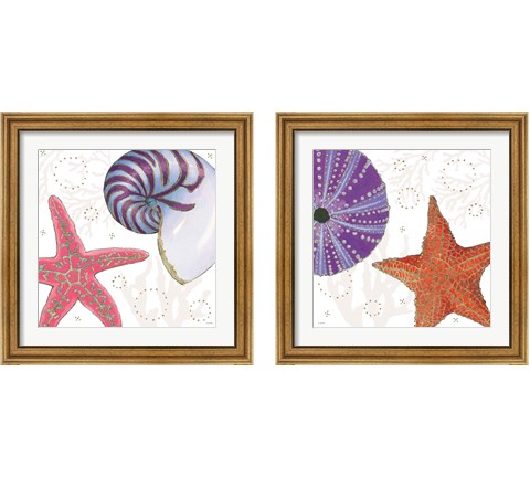 Shimmering Shells 2 Piece Framed Art Print Set by James Wiens