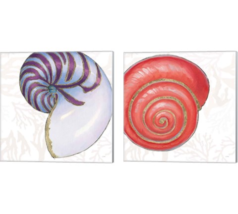 Shimmering Shells 2 Piece Canvas Print Set by James Wiens