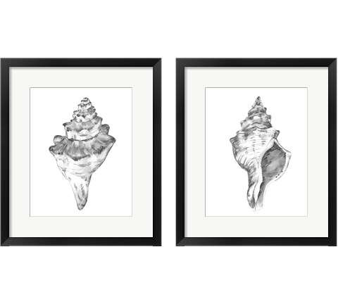 Quiet Conchvvvv 2 Piece Framed Art Print Set by Emma Caroline