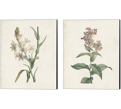 Classic Botanicals 2 Piece Canvas Print Set by Pierre-Joseph Redoute