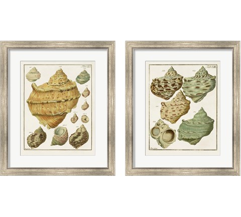 Pastel Shell Pair 2 Piece Framed Art Print Set