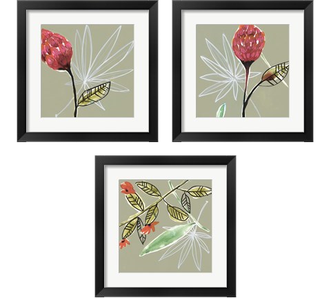 Tropic Botanicals 3 Piece Framed Art Print Set by Jennifer Goldberger