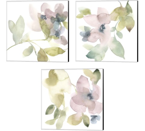 Sweet Petals and Leaves 3 Piece Canvas Print Set by Jennifer Goldberger