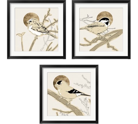 Spring Passerine 3 Piece Framed Art Print Set by Jacob Green