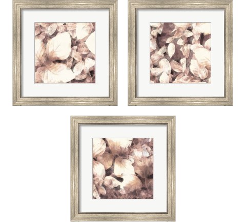 Blush Shaded Leaves 3 Piece Framed Art Print Set by Alonzo Saunders