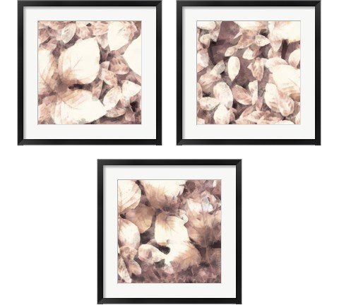 Blush Shaded Leaves 3 Piece Framed Art Print Set by Alonzo Saunders