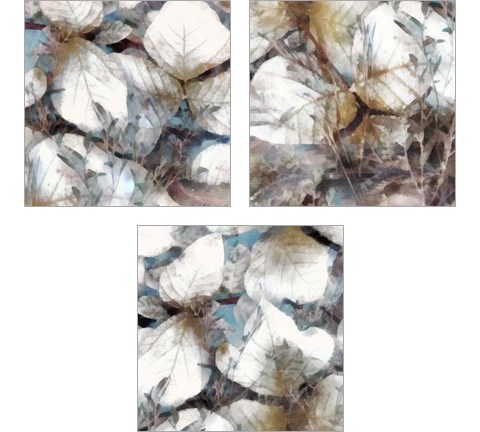 Neutral Summer Leaves 3 Piece Art Print Set by Alonzo Saunders