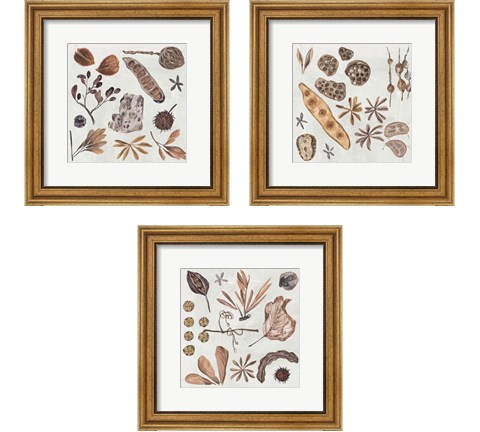 Small Things 3 Piece Framed Art Print Set by Melissa Wang