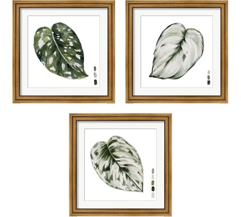 Scindapsus 3 Piece Framed Art Print Set by Melissa Wang