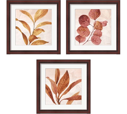 Terra 3 Piece Framed Art Print Set by Lisa Audit